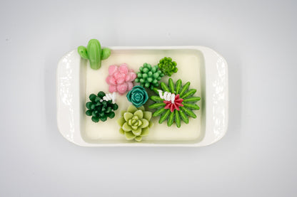 Scented Soy + Paraffin Wax Candle in Beige Ceramic Rectangle Bowl with Succulent Plants Flowers