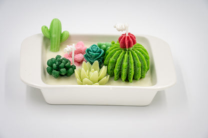 Scented Soy + Paraffin Wax Candle in Beige Ceramic Rectangle Bowl with Succulent Plants Flowers