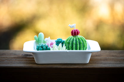Scented Soy + Paraffin Wax Candle in Beige Ceramic Rectangle Bowl with Succulent Plants Flowers