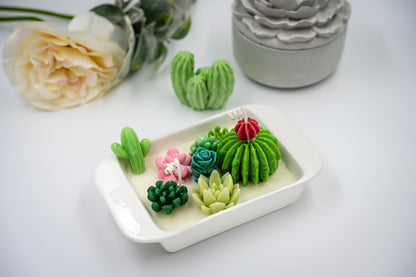 Scented Soy + Paraffin Wax Candle in Beige Ceramic Rectangle Bowl with Succulent Plants Flowers