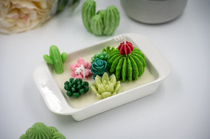 Scented Soy + Paraffin Wax Candle in Beige Ceramic Rectangle Bowl with Succulent Plants Flowers