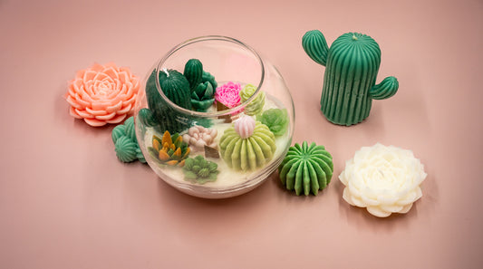 Scented Succulent and Cactus Candle in Clear Round Glass Vase with Double Wood Wicks