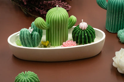 Immerse yourself in the cozy ambiance and delightful look of this scented wax succulent and cactus garden, thoughtfully crafted in the handmade van/bus-shaped candle vessel. A perfect decorative piece for any room, or a gift for plant lovers, housewarming, or any special occasions.

 