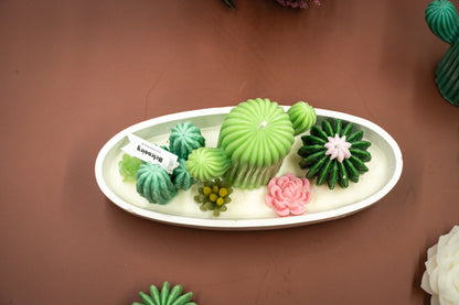 Immerse yourself in the cozy ambiance and delightful look of this scented wax succulent and cactus garden, thoughtfully crafted in the handmade van/bus-shaped candle vessel. A perfect decorative piece for any room, or a gift for plant lovers, housewarming, or any special occasions.

 